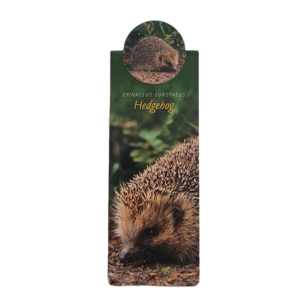 Cardmarks Hedgehog Nature Animal Info Magnetic Magnet UK Company If 2408 Y2k 00s